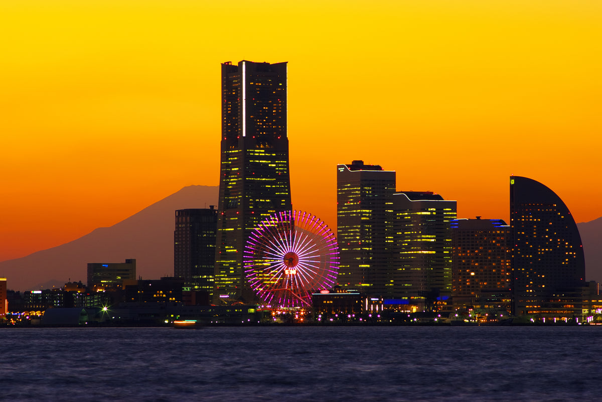 Mount Fuji Japan — LEDA TRIP