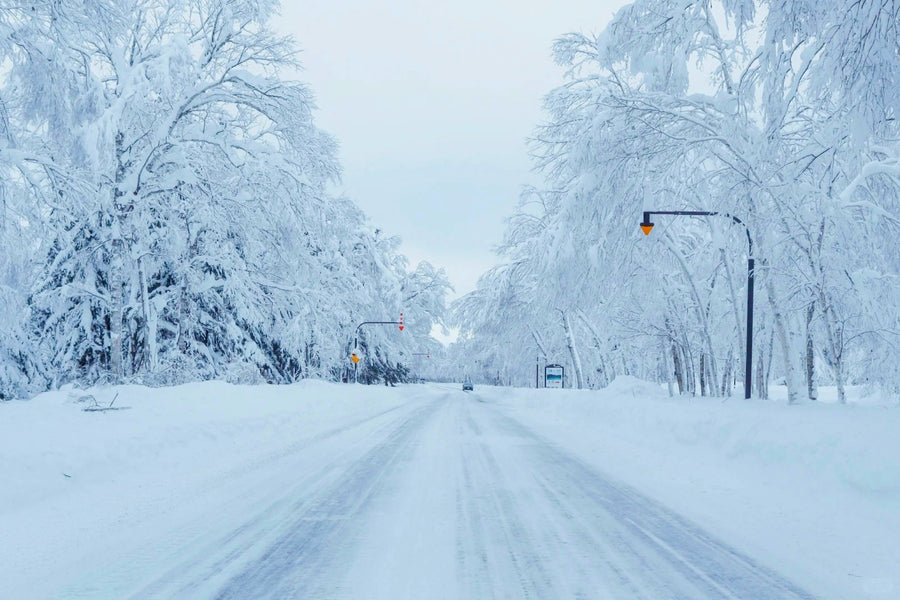 Hokkaido Private Charter | Biei & Furano 10-Hour Tour