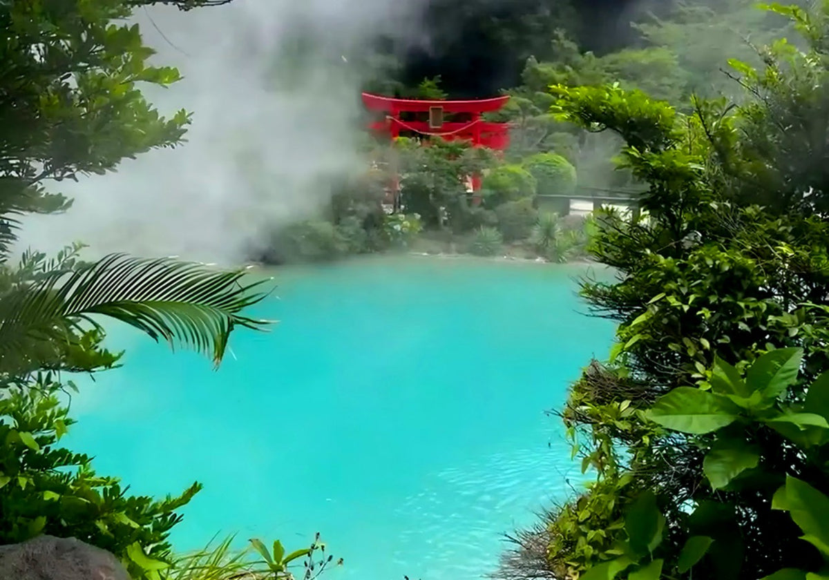 Kyushu Flower Viewing Private Tour | 6 Days 5 Nights