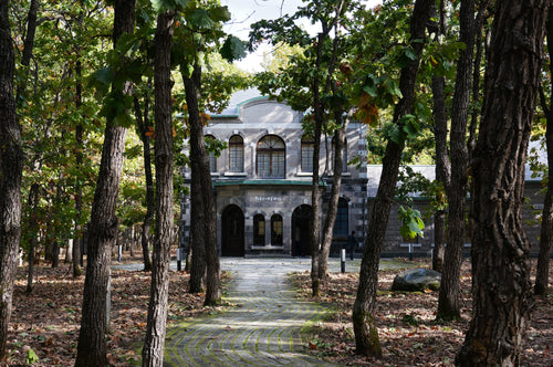 Hokkaido Japan — LEDA TRIP