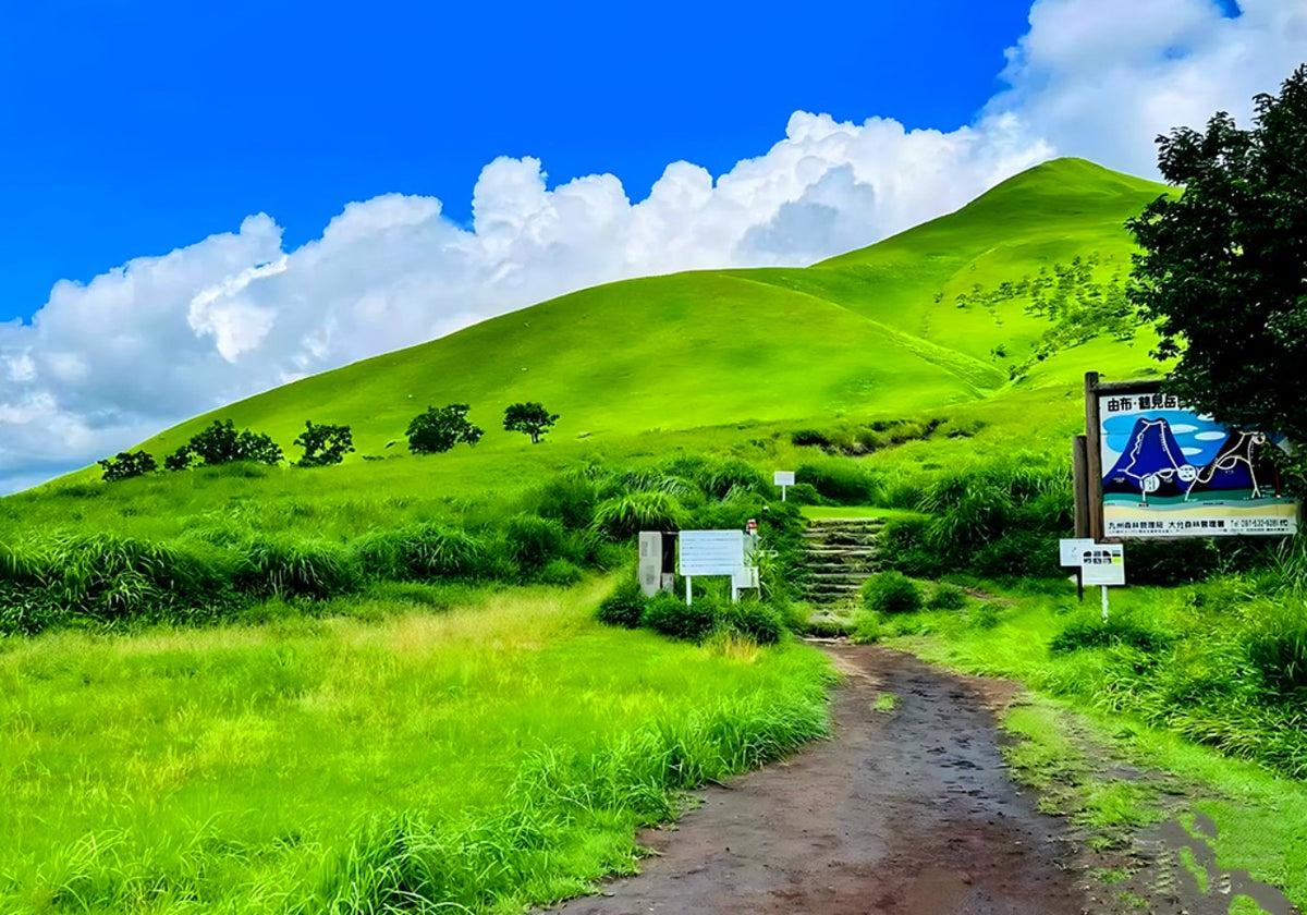 Kyushu Flower Viewing Private Tour | 6 Days 5 Nights