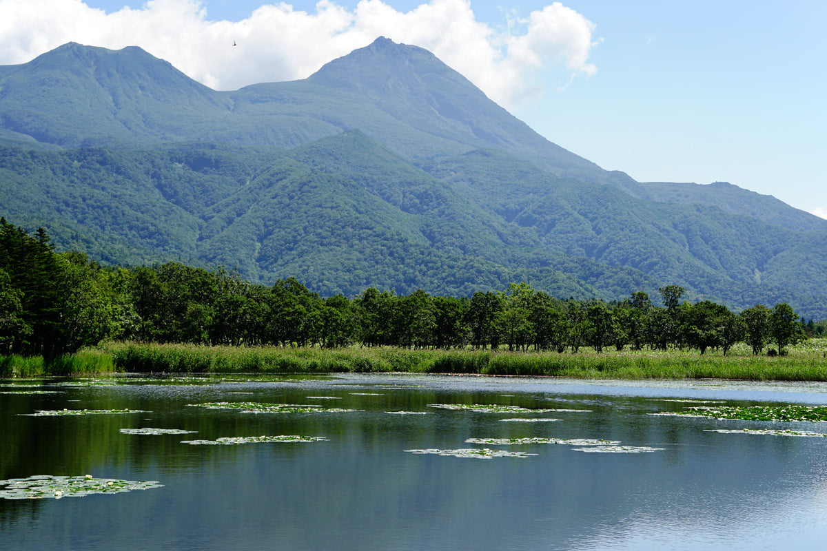 Hokkaido Japan — LEDA TRIP