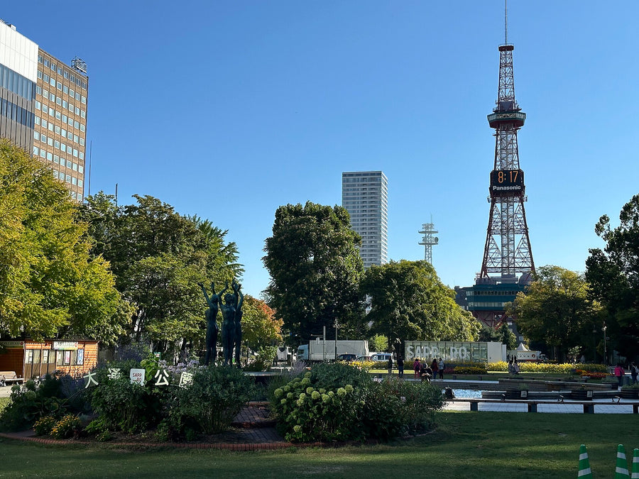 Tokyo & Hokkaido Private Tour | 8 Days 7 Nights