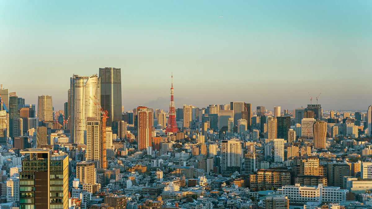 Tokyo & Hokkaido Private Tour | 8 Days 7 Nights