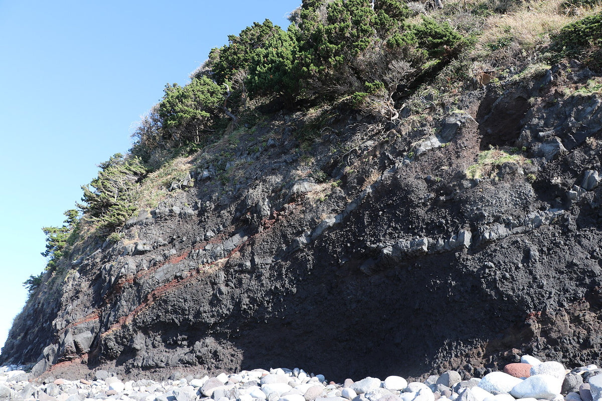 Izu Peninsula — LEDA TRIP