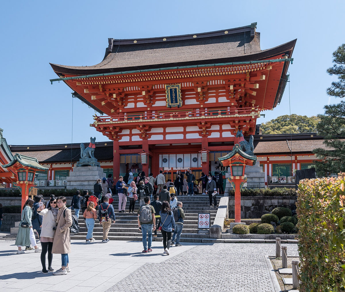 Kyoto Japan — LEDA TRIP