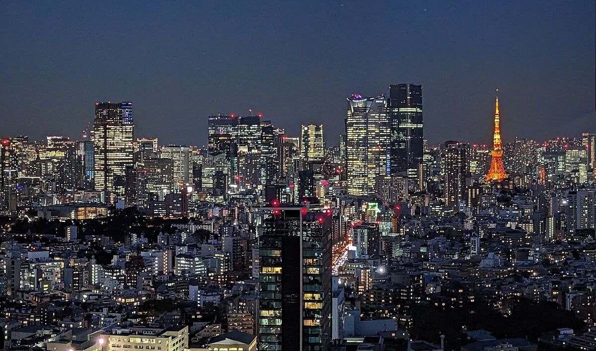 Tokyo skyline at night — LEDA TRIP