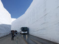 Tateyama Kurobe Alpine Route Private Tour | 7 Days 6 Nights