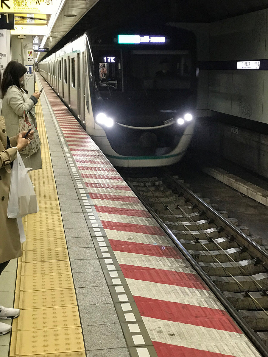 Shirakawa-go — LEDA TRIP