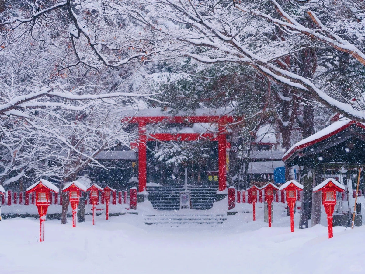 Sapporo Private Charter | 10-Hour City Tour