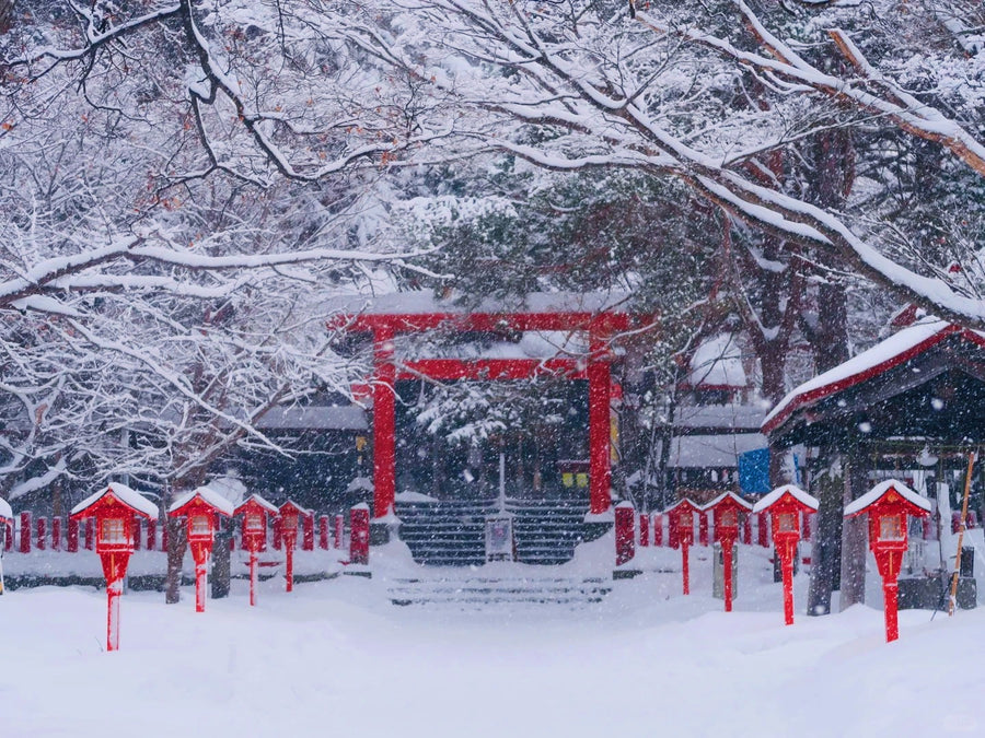 Sapporo Private Charter | 10-Hour City Tour