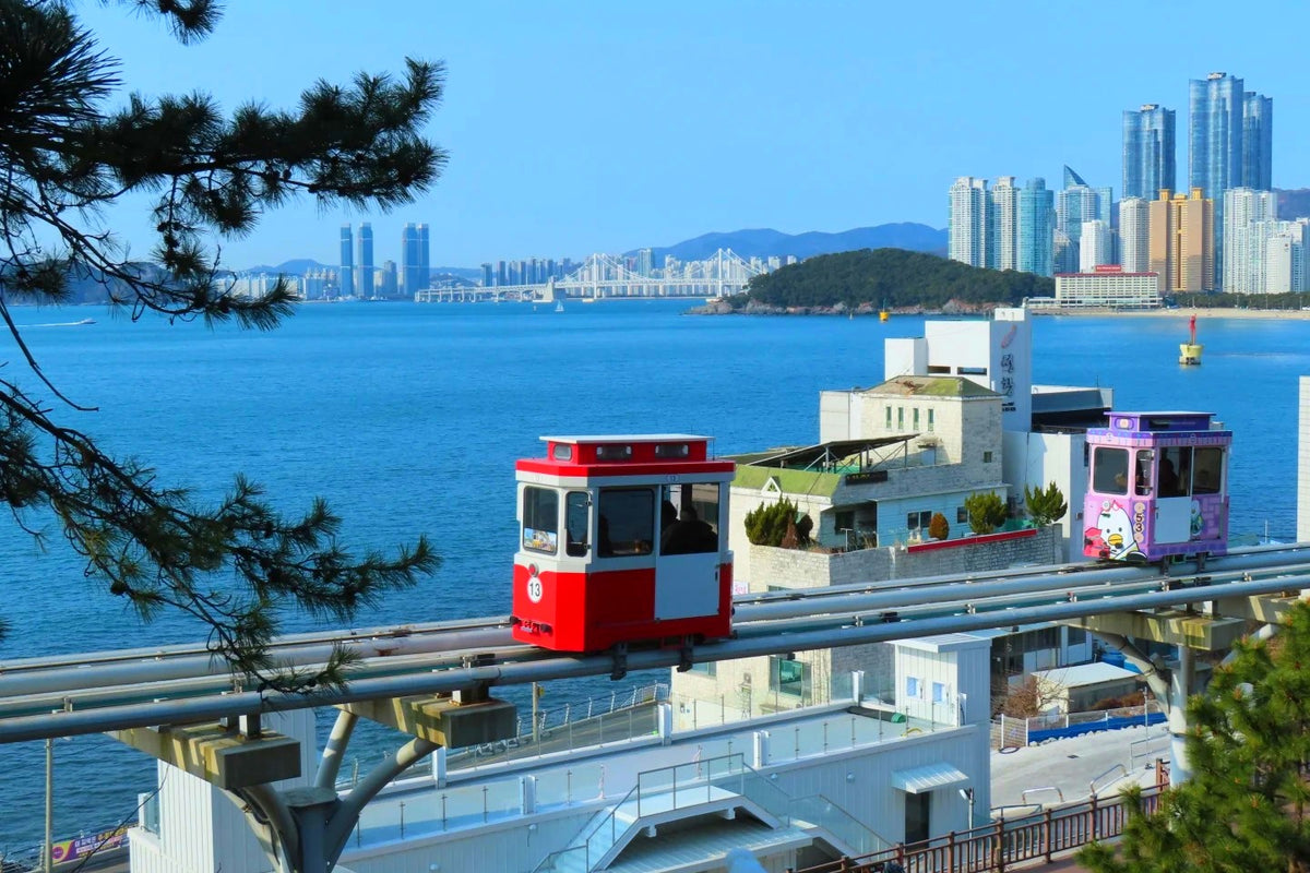 Busan Getaway Private Tour | 6 Days 5 Nights