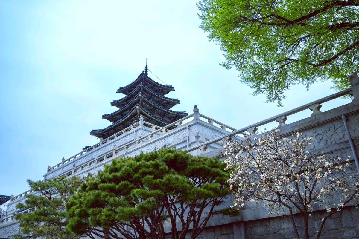 Seoul City Break Private Tour | 4 Days 3 Nights