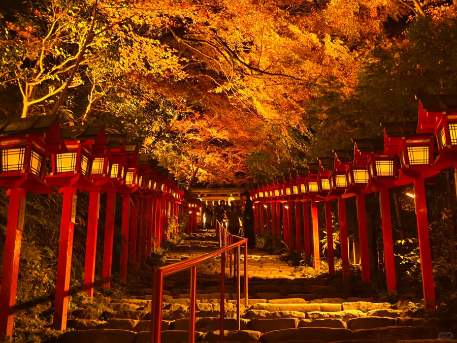 Kyoto Private Charter | Kyoto, Nara & Kobe 10-Hour Tour