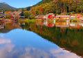 Kyushu Flower Viewing Private Tour | 6 Days 5 Nights