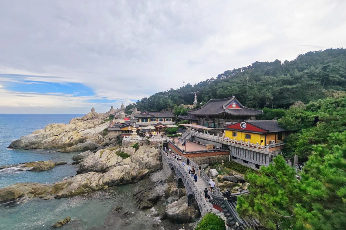 Busan Private Tour | 5 Days 4 Nights