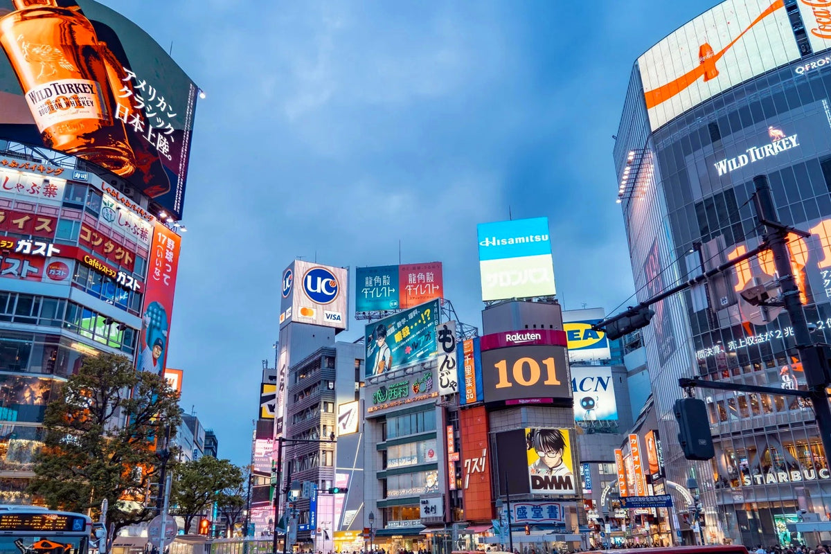 Osaka, Mount Fuji & Tokyo Two Theme Parks Private Tour | 7 Days 6 Nights
