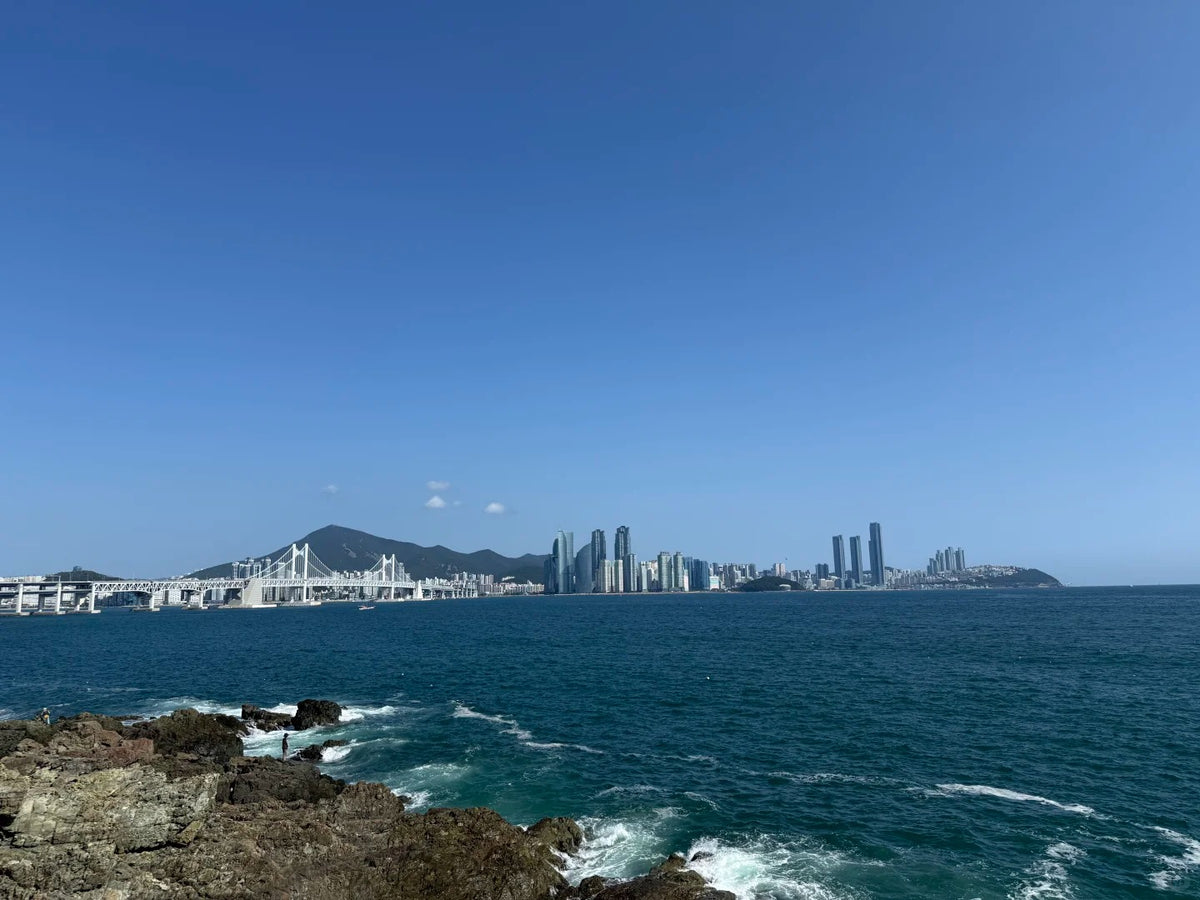 Busan Private Tour | 5 Days 4 Nights