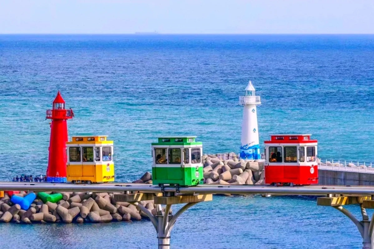 Busan Highlights Private Tour | 4 Days 3 Nights