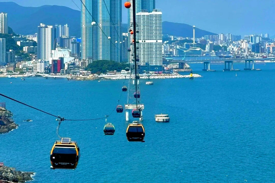 Busan Getaway Private Tour | 6 Days 5 Nights