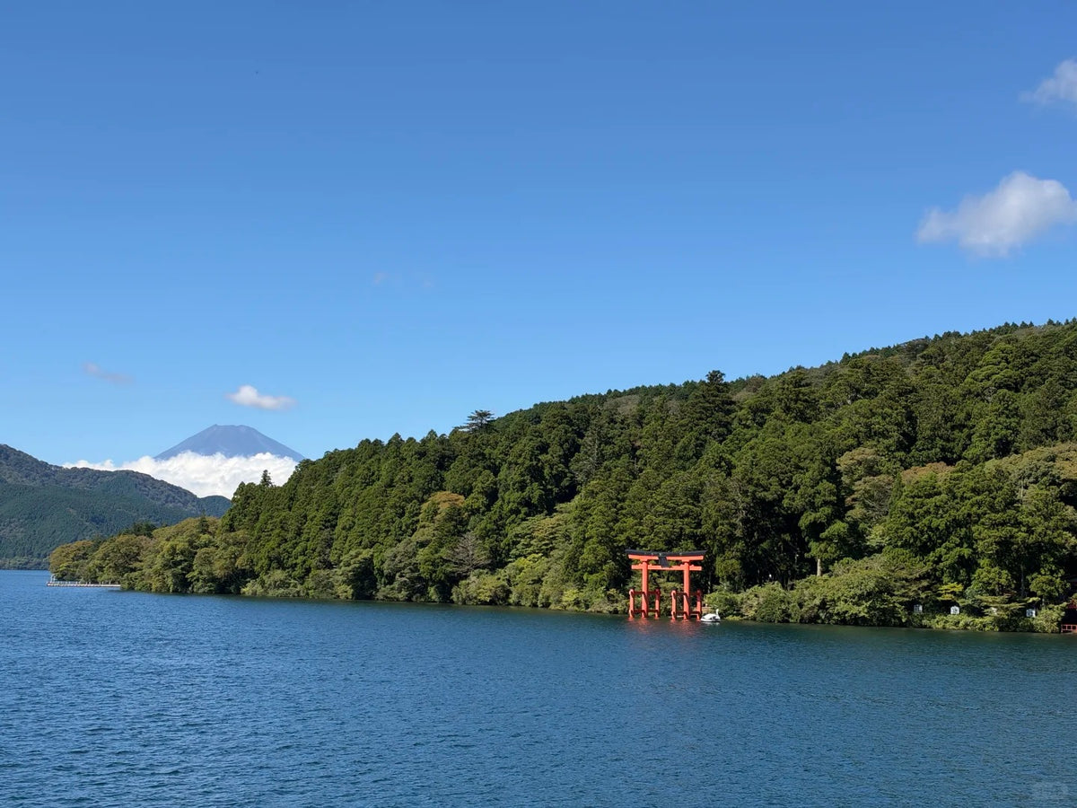 Tokyo Private Charter | Mount Fuji & Hakone 10-Hour Tour