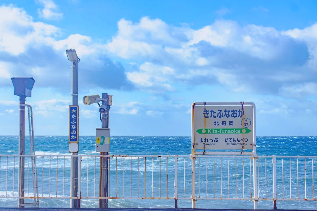 Sapporo Private Charter | 10-Hour City Tour