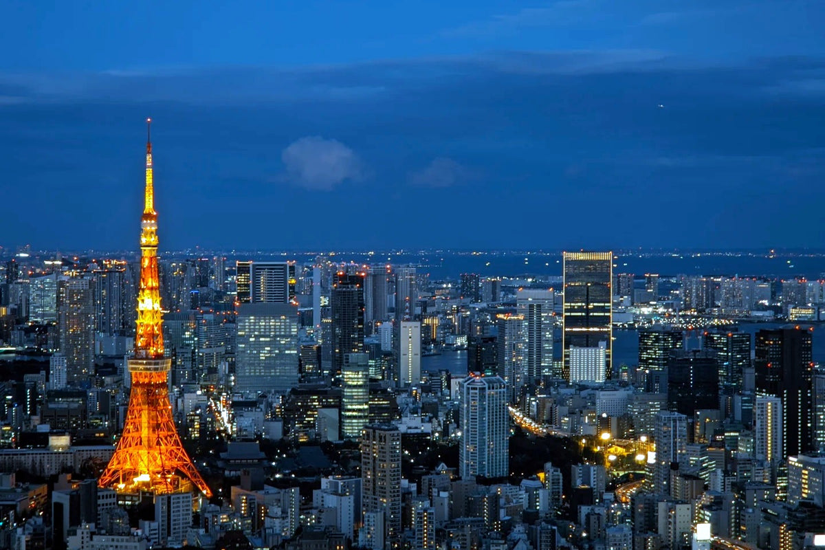 Tokyo Private Charter | 10-Hour City Tour