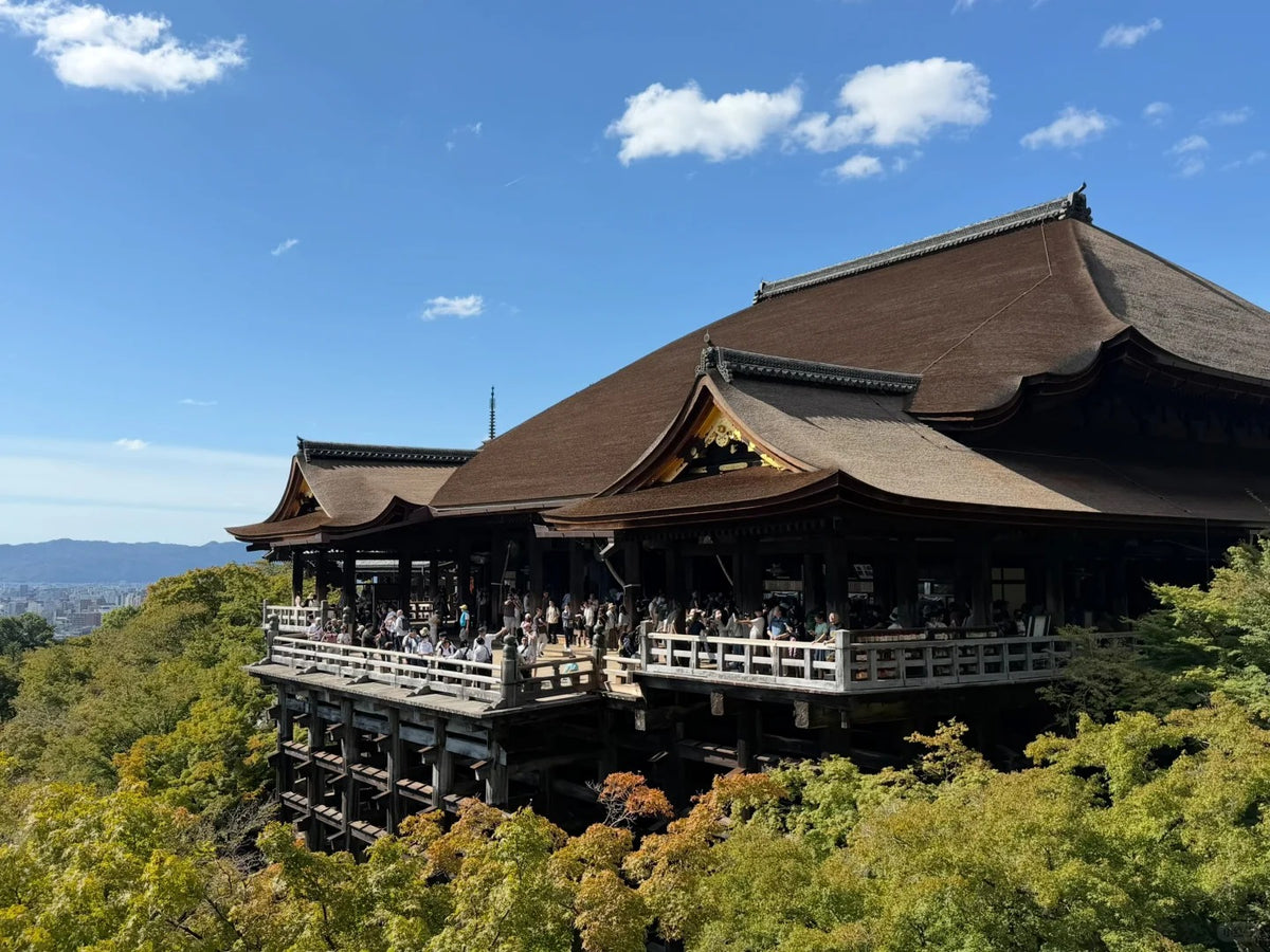 Kyoto Private Charter | 10-Hour City Tour