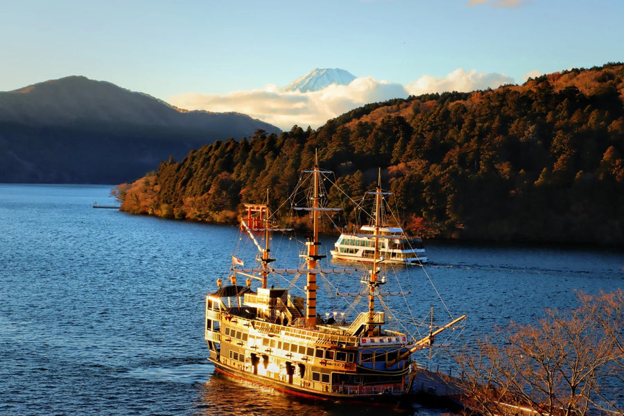 NRT Airport Transfer | Narita Airport to Mount Fuji & Hakone