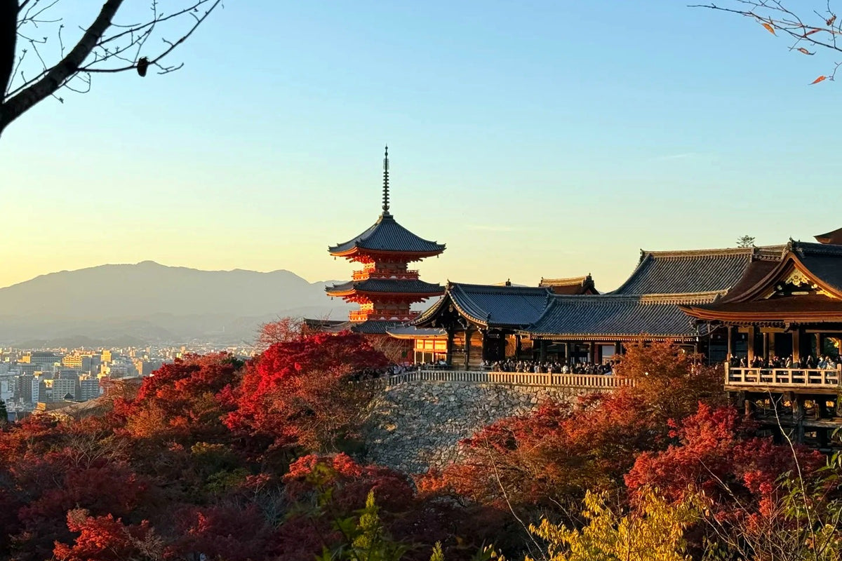 Osaka, Mount Fuji & Tokyo Two Theme Parks Private Tour | 7 Days 6 Nights