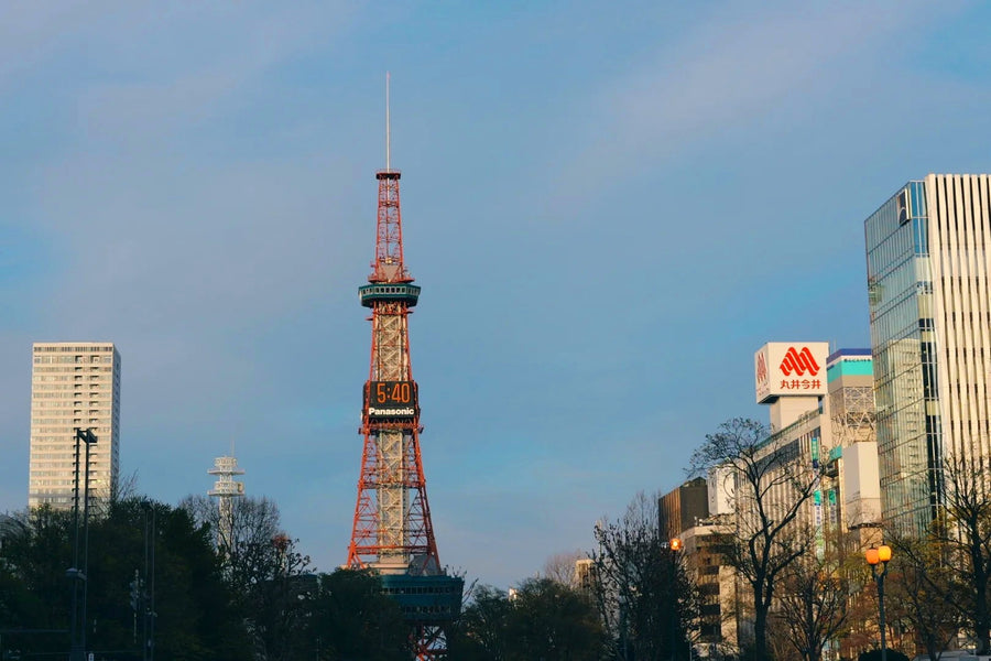 Sapporo Private Charter | 10-Hour City Tour