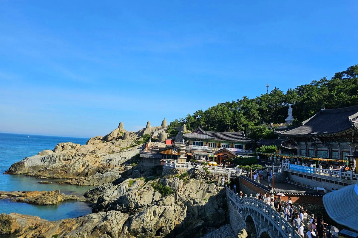 Busan Highlights Private Tour | 4 Days 3 Nights