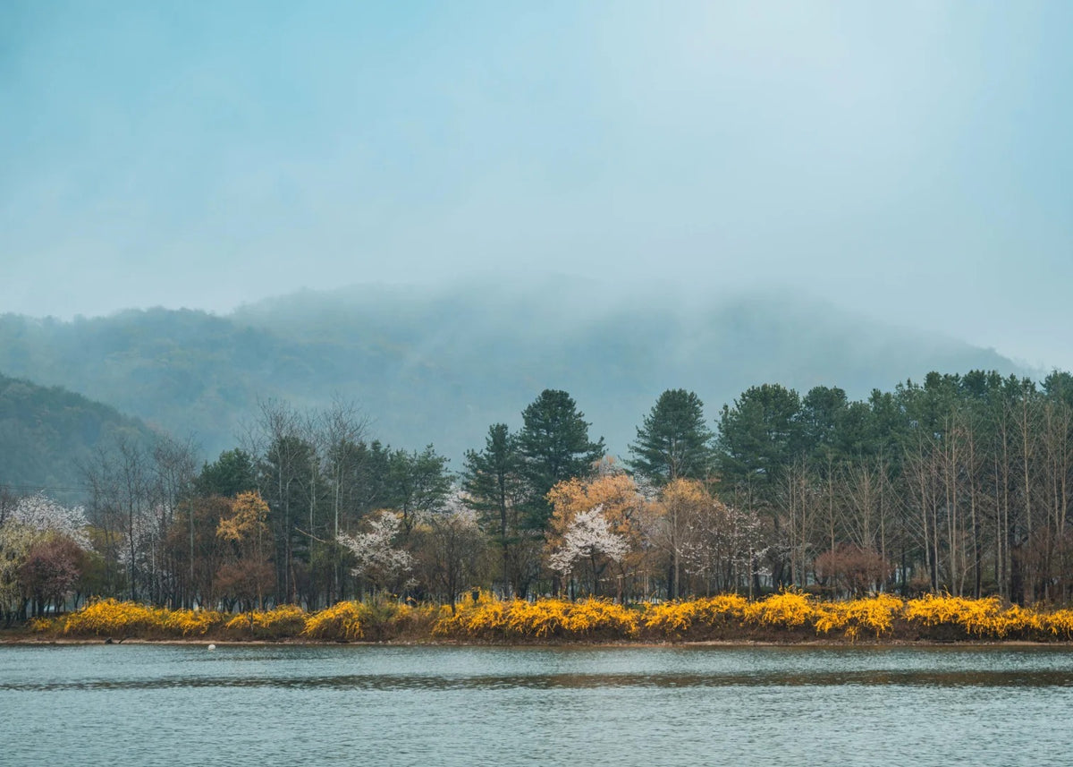 Seoul City Break Private Tour | 4 Days 3 Nights
