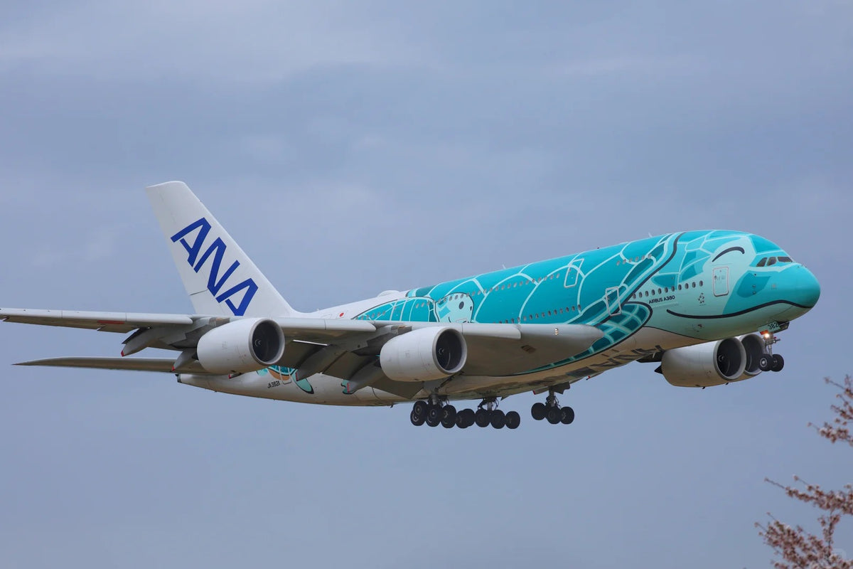 NRT Airport Transfer | Narita Airport to Tokyo City
