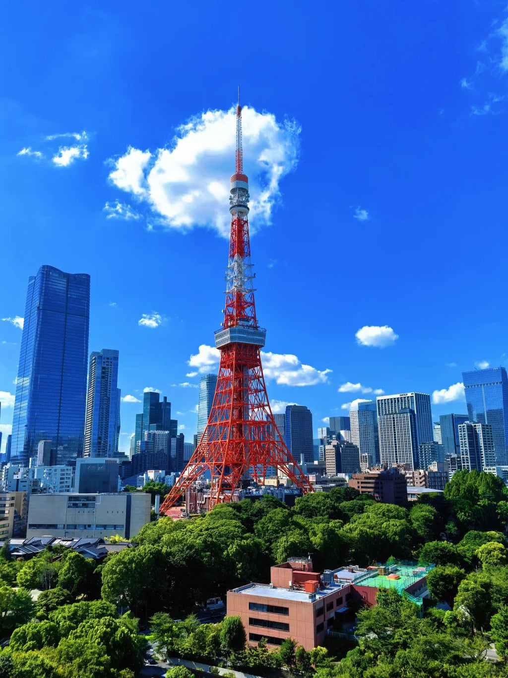 🗼 东京经典5天4晚 – 富士山一日游 | 私人包团