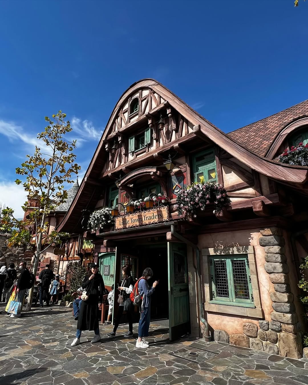 Tokyo & Osaka Two Theme Parks Private Tour | 7 Days 6 Nights