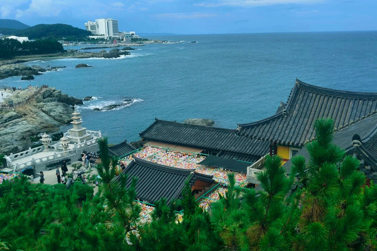 Seoul, Busan & Jeju Island Private Tour | 8 Days 7 Nights