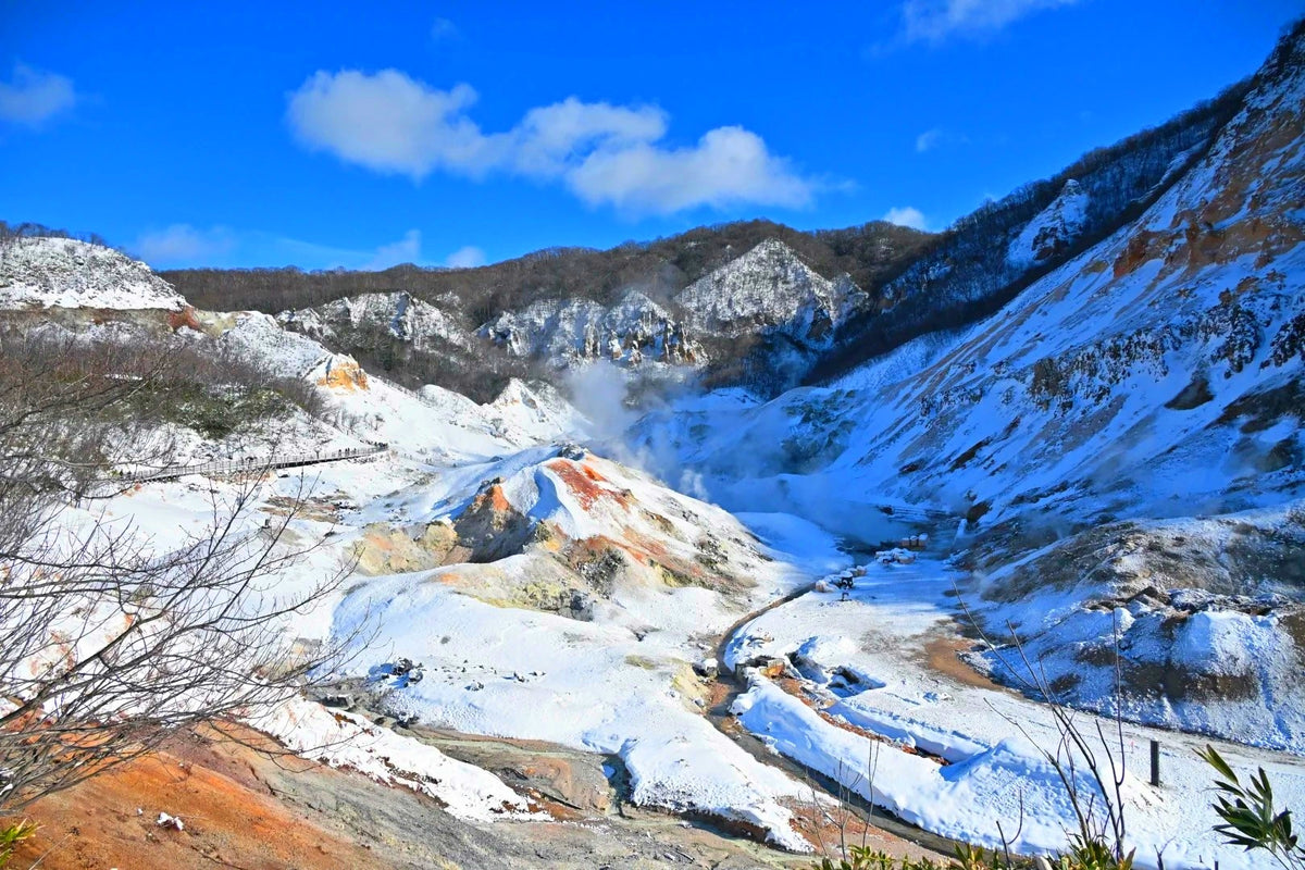 Hokkaido Private Charter | Toyako & Noboribetsu 10-Hour Tour