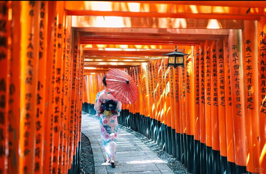 Osaka Private Charter | Kyoto, Nara & Kobe 10-Hour Tour