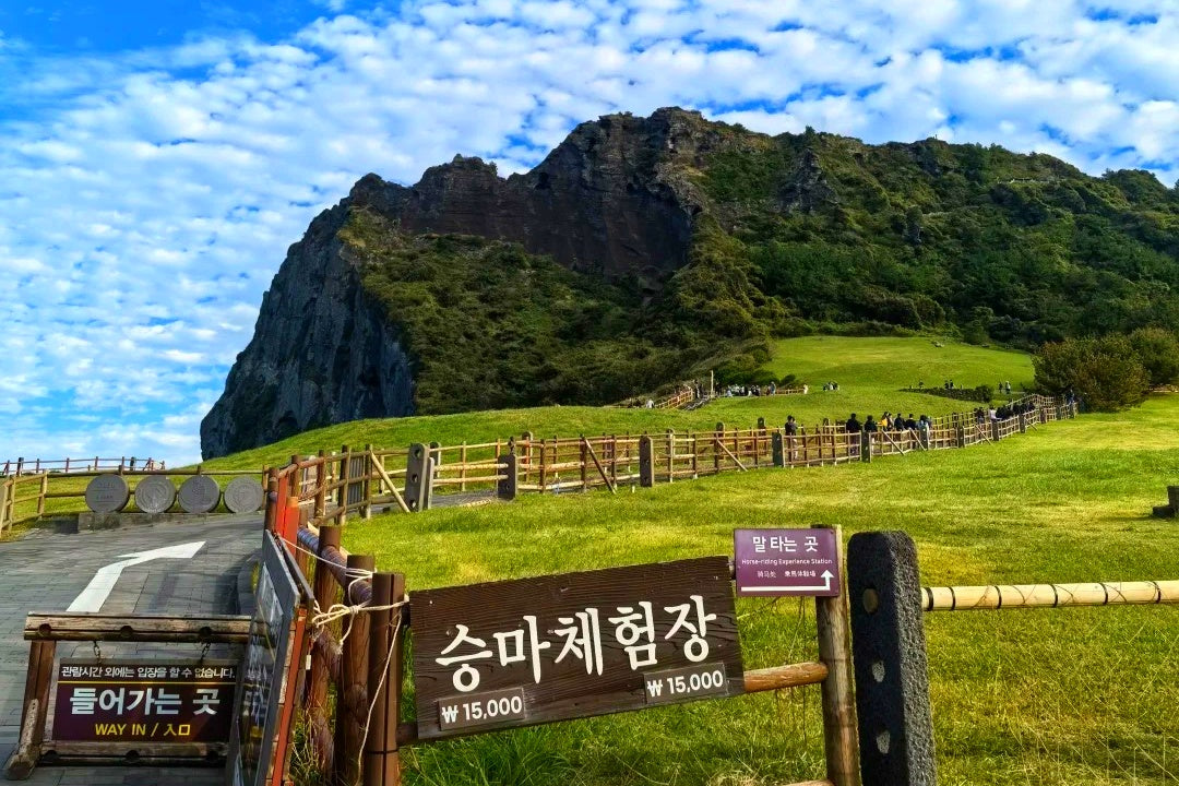 Seoul & Jeju Island Private Tour | 6 Days 5 Nights