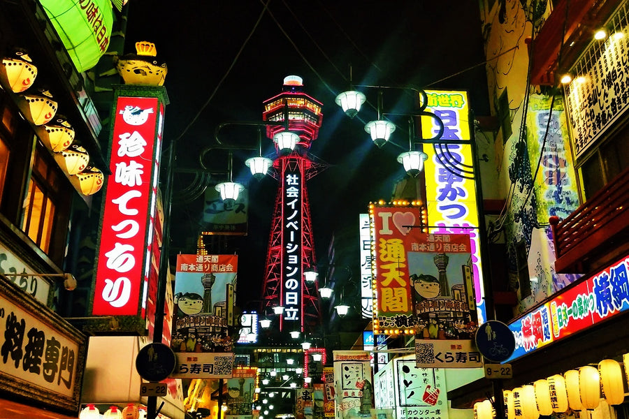 Osaka Private Charter | 10-Hour City Tour