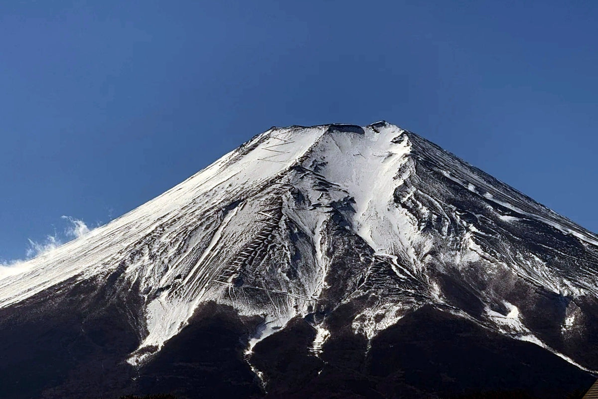 Tokyo Private Charter | Mount Fuji & Hakone 10-Hour Tour