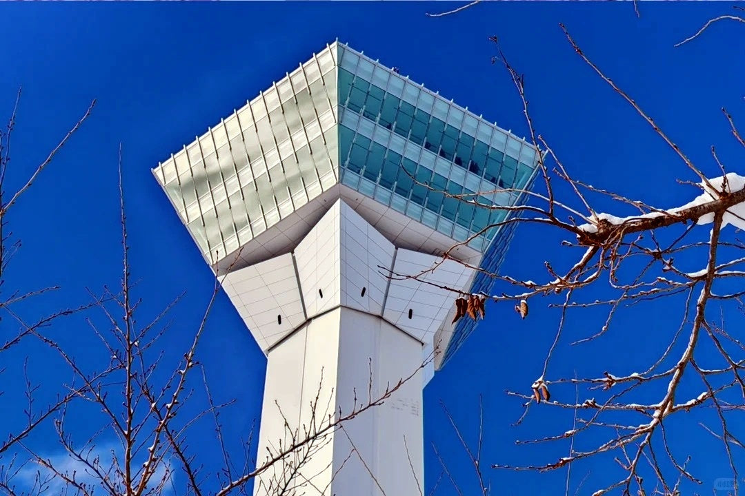 Hokkaido Private Charter | Hakodate 10-Hour Tour