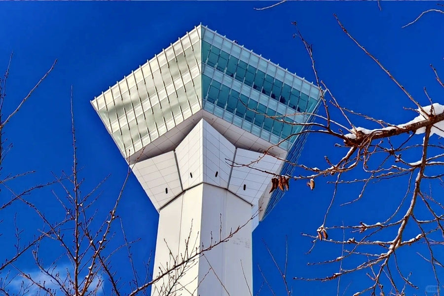 Hokkaido Private Charter | Hakodate 10-Hour Tour