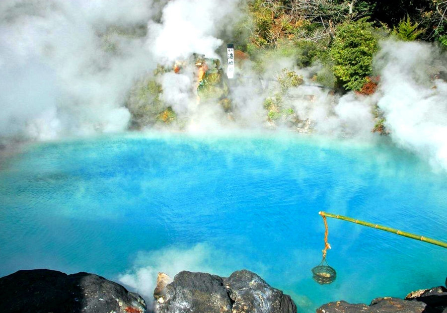 Kyushu Flower Viewing Private Tour | 6 Days 5 Nights