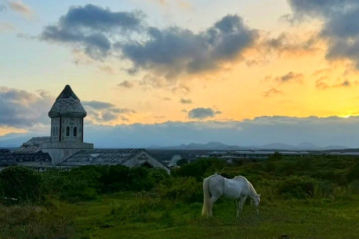 Jeju Island Scenic Private Tour | 5 Days 4 Nights