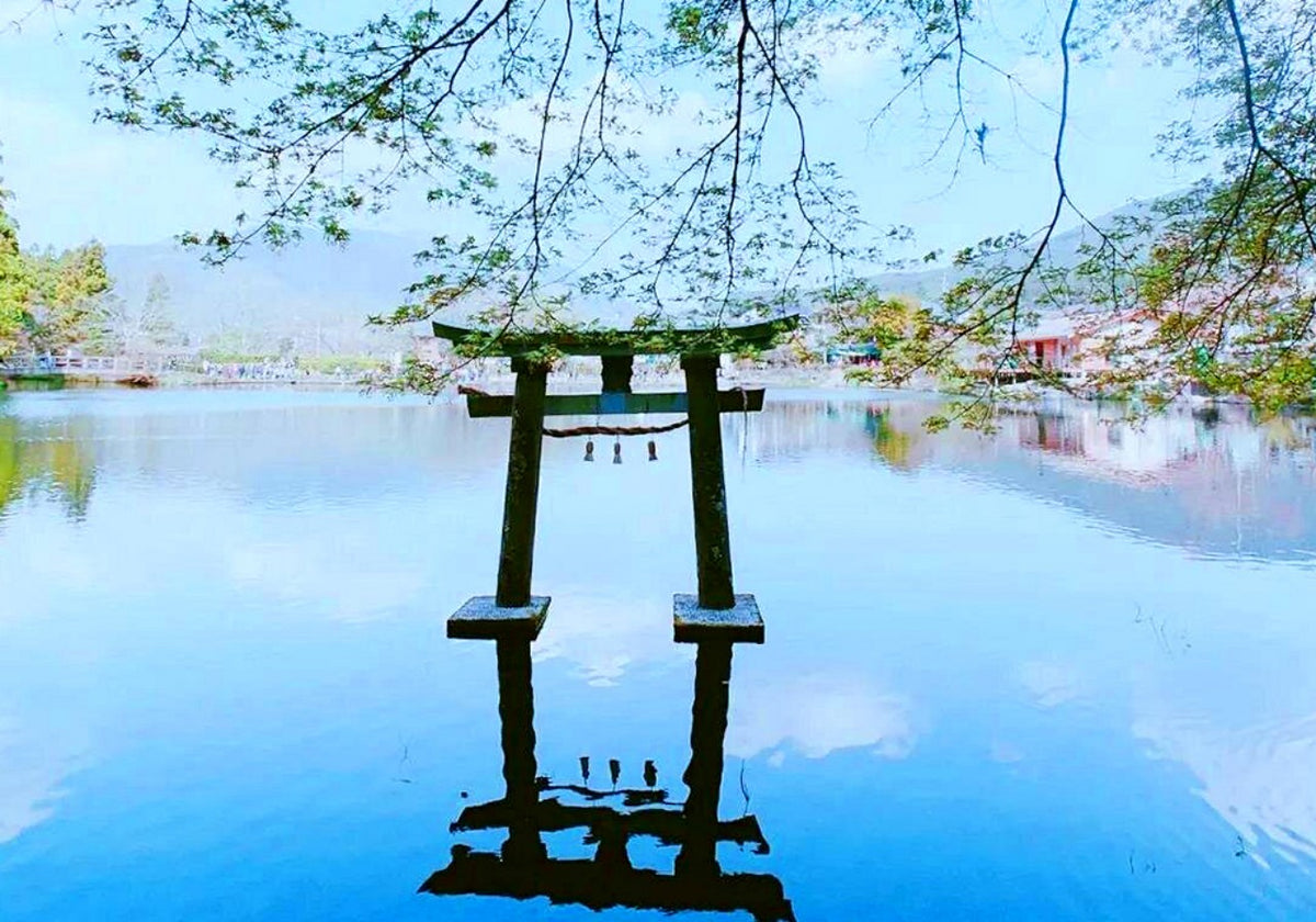 Kyushu Flower Viewing Private Tour | 6 Days 5 Nights