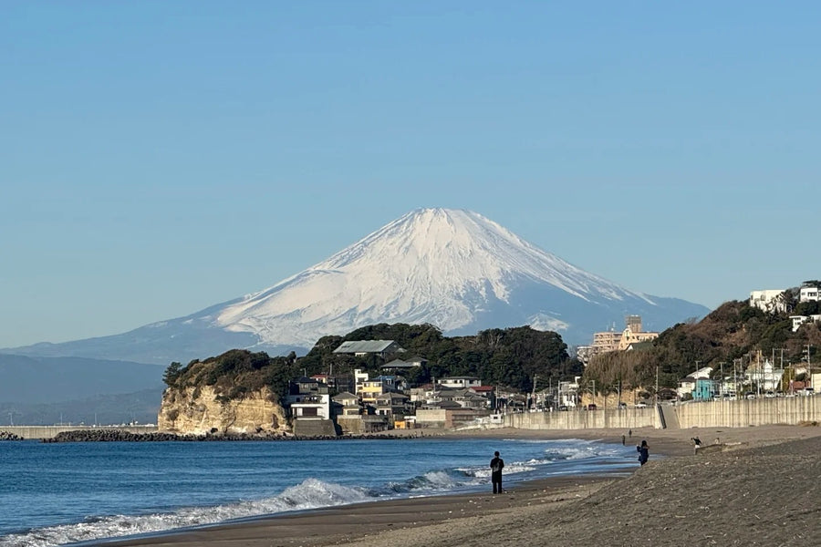 Tokyo Private Charter | Mount Fuji & Hakone 10-Hour Tour