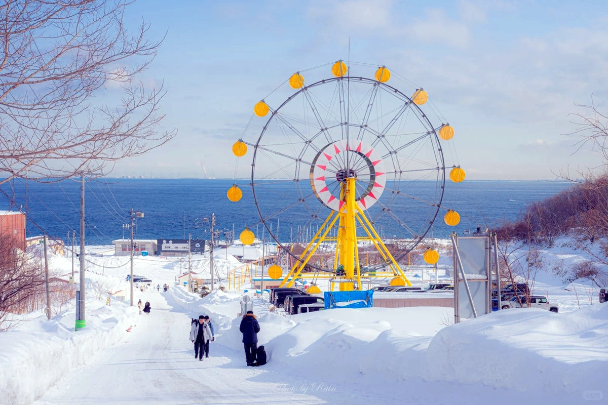 Hokkaido Private Charter | Otaru 10-Hour Tour