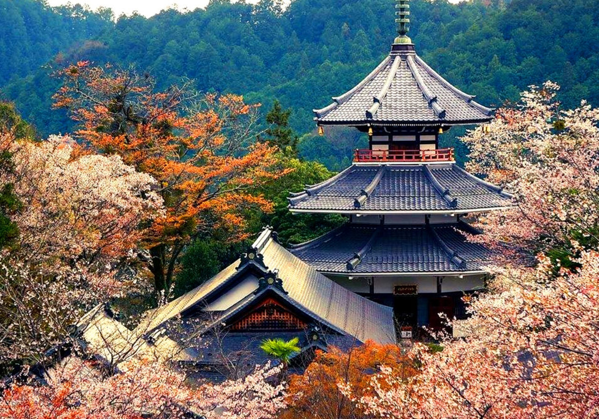 Kyushu Flower Viewing Private Tour | 6 Days 5 Nights